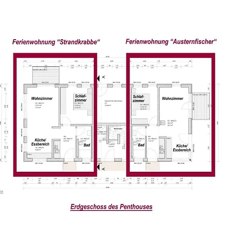 Austernfischer *
